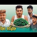 কাঁচা মরিচ | New Funny Video 😂 | Nikhil | Azidur | Golpor Adda