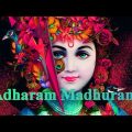 Adharam Madhuram ( Krishna Bhajan ) 🙏🙏🙏 Bhajan Song #YouTube#video#viral // B Bangla Star Tip //