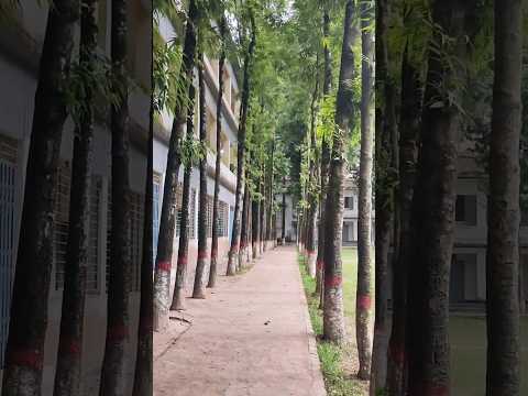 School to Beach #bangladesh #travel #coxbazar #beach