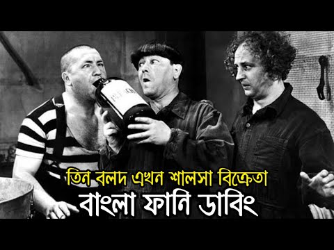 Three Stooges Bangla Funny Dubbing | Bangla Funny Video | Khamoka tv