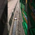 Accident 😢😢😢 #gyaanpapi #travel #bangladesh #bike #ride #viralshorsts #shorts #gopro