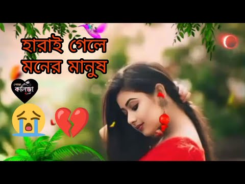 Harai Gale Moner Manushহারায় গেলে মনের মানুষ😭@kolizapurams#বাংলা_গান #sadsong #bangla #song