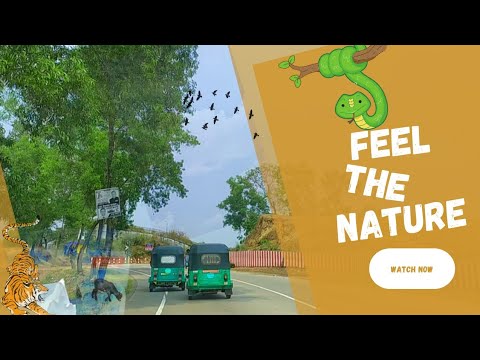 My Mother Land Is The Queen Of All Countries || Travel Bangladesh And Feel The Nature