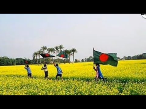 বিজয় দিবস এর মিউজিক #all copyright#bangladesh#copyrightfree #copyrightfreemusic#copyright music