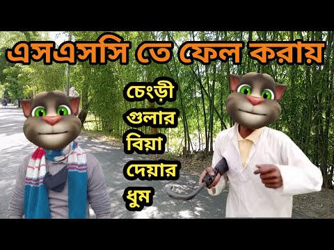 পরীক্ষায় ফেল করায় চেংড়ীগুলার বিয়ার ধুম | Mofiz Funny Video |Talking Tom Bangla Comedy কালা মফিজ