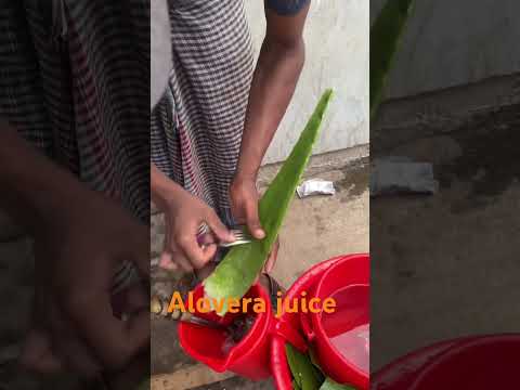 #shorts #bangladesh #travel #viral #india #viralvideo #song #aloevera #streetfood #juice