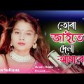Tora Jaite Dena Amare||তোৰা জাইতে দেনা আমাৰে||#bangladesh|Folk Song| #parbin Sultana|#jkmixstudio