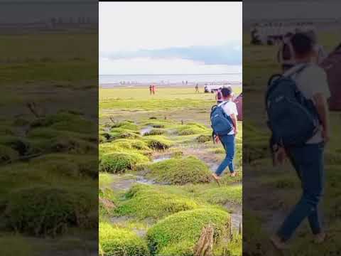 গুলিয়াখালি সী বিচ | guliakhali sea beach #travel  #Bangladesh #vlog  #Lakshmipur #short