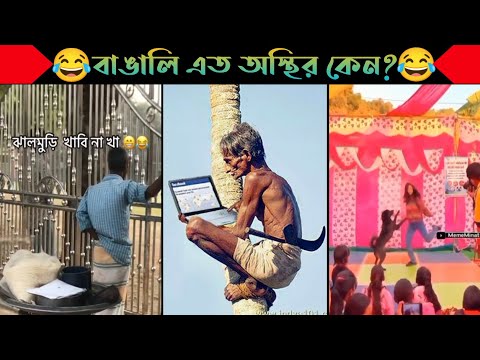 অস্থির বাঙালি Part 15 | Bangla Funny Video | না হেসে যাবি কই | Funny Facts | Jk Info Bangla|Mayajaal