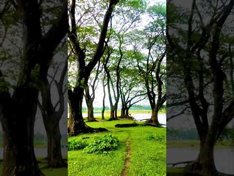 This view #fypシ゚viral #view #travel #youtubeshorts #bangladesh