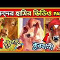 কোরবানী গরু নিয়ে কিছু মজার ভিডিও🤣| Cow Qurbani | Funny Cow Videos | Eid Ul Adha 2023 | Masud r facts