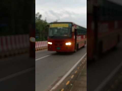 BRTC Bus #bangladesh #road #transport #corporation #localbus #busjourney #travel #smallbus #shorts