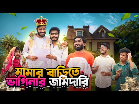 মামার বাড়িতে ভাগিনার জমিদারি | Bangla Funny Video | Bhai Brothers | It’s Abir | Rashed | Salauddin