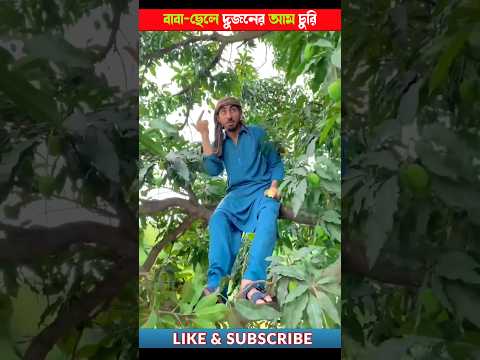 বাবা-ছেলে দুজনের আম চুরি 🍋🥭 || Bangla Funny Video || #shorts