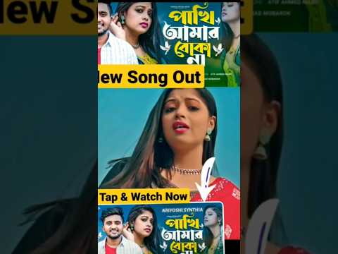 পাখি আমার বোকা না কান্দাই লো কেন বুজলাম না #trending #bangladesh #song #gogonsakib #newsongstatus