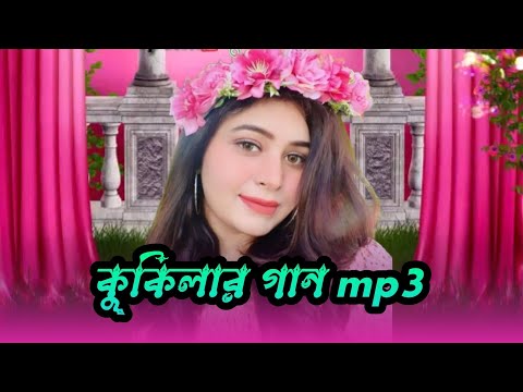 কুকিলার বার মাসি গান,kokila baramasi gaan | Bangla mp3 gaan | Bangla baul gaan