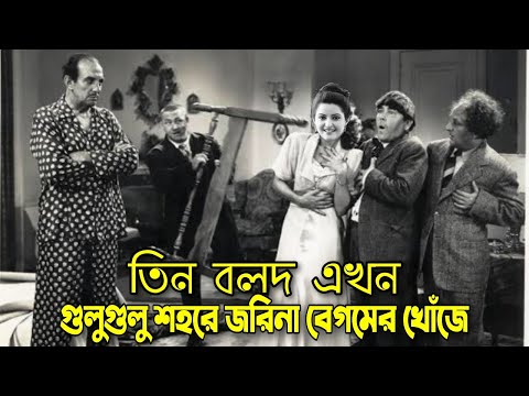 Three Stooges looking for Zarina Begum | Bangla Funny Dubbing | Bangla Funny Video | Khamoka tv