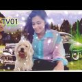 রঙের ভাড়াটিয়া _ Ronger Vartia _ SK TV01 । music video । Bangla music