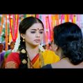 Telugu Superhit Hindi Dubbed Blockbuster Action Movie Full HD 1080p | Jagapati Babu, Priyamani