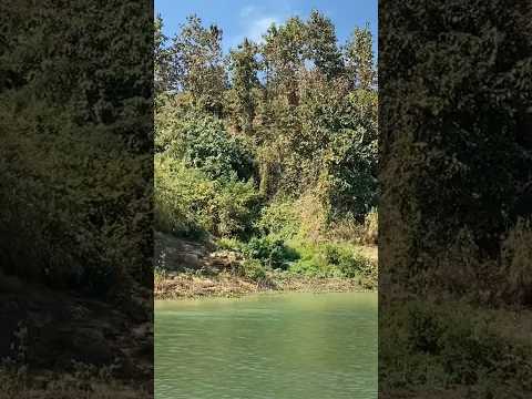 travel vlog. Rangamati. Rangamati resort. best resort in Bangladesh.