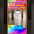 🤣হাস্যকর প্রাণীদের হাস্যকর ভিডিও🤣| Funny cat & dog videos| #funny #shorts