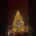 #christmastree #strasbourg #france #europe #bangladesh #travel #beautiful #noel #newyear #bonneannée