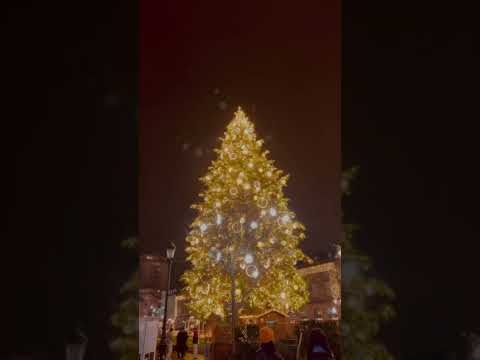 #christmastree #strasbourg #france #europe #bangladesh #travel #beautiful #noel #newyear #bonneannée