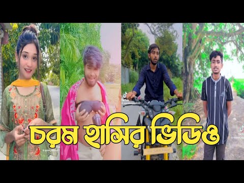 হাঁসতে হাঁসতে শেষ 💔 সেরা হাসির টিকটক ভিডিও | Bangla Funny TikTok Video | ( Part 195 ) #RMPTIKTOK