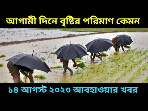 আগামী দিনে বৃষ্টির পরিমান কেমন, ১৪ আগস্ট আবহাওয়ার খবর, 14 August 2023 Weather Update, Weather bengal