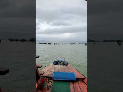 Tanguar Haor | Sunamganj | Sylhet | টাংগুয়ার হাওর | সিলেট #travel #bangladesh