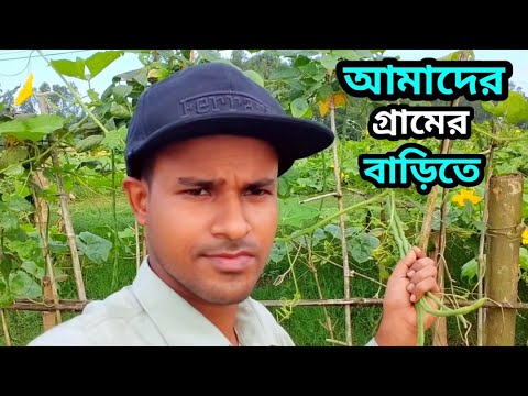 আমাদের গ্রামের বাড়িতে | NEW VLOG Video | Bangladesh Travel 0.2