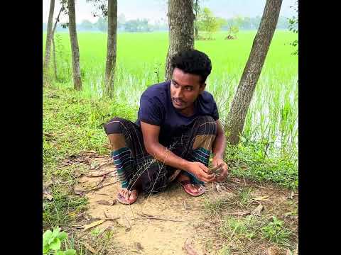 একটা সাইকেলের জন্য কি করলো 😂🤭bangla funny video 😎