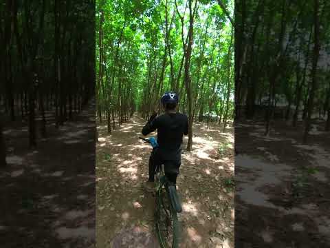 আসলে ঘুরে বেরাতে ভালোই লাগে❤️ #shots #cycling #bicycle #travel #bangladesh #tranding #360camera