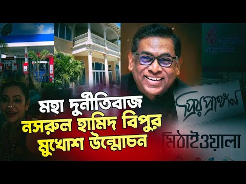 বিদ্যুৎ ও জ্বালানি প্রতিমন্ত্রী নসরুল হামিদ বিপুর আমেরিকাতে সম্পদের পাহাড়| @NagorikTV Exclusive