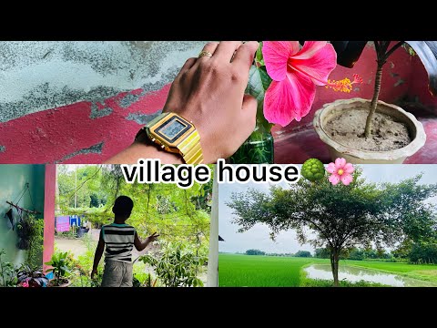 Village house 🏡🌸🌳||#travel #bangladesh #barcelona #barcelonastyle #nature #viralvideo