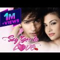 से यस तू लव (Say Yes To Love) | Full Hindi Romantic Movie | Asad Mirza, Nazia Husain, Aditya Raj