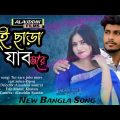 Tui Sara Jabo More | New Bangla Song | Sumi | Ripon | Bangla Music Video | Alauddin Films