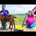 Must Watch New Special Comedy Video 2023 😎Totally Amazing Comedy Episode 230 by Busy fun ltd