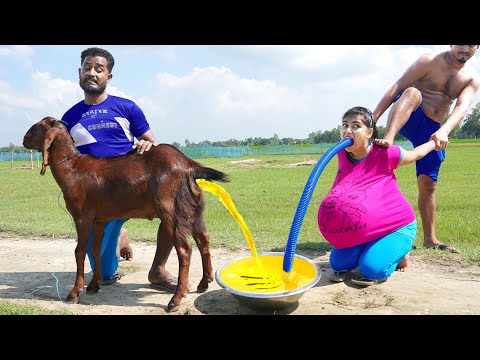 Must Watch New Special Comedy Video 2023 😎Totally Amazing Comedy Episode 230 by Busy fun ltd