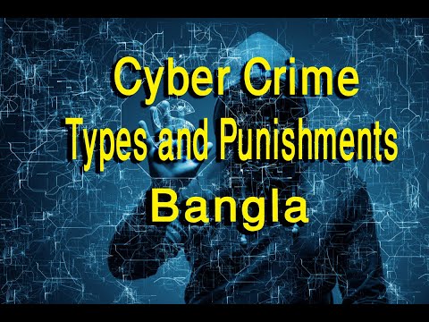 Cyber Crime Meaning, Types and Punishment in Bangla