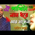 Notun gaan | ঐ পাখিটা নাম ধরে আর ডাকেনা | folk bangla gaan | Bangladeshi baul gaan | SB Sobuj baul