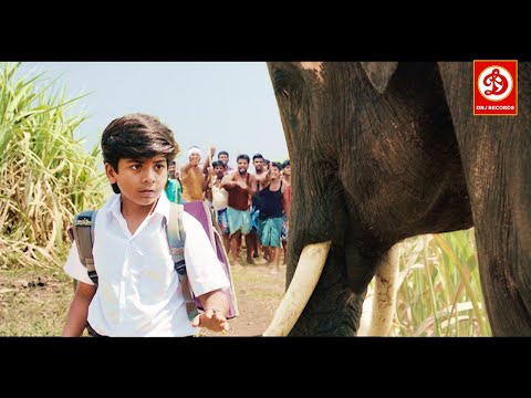 Rajabheema (HD) -New Blockbuster Full Hindi Dubbed Action Movie || Arav, Ashima Narwal, Yashika