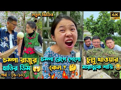 চম্পা রাজুর ফানি ভিডিও 😂 পর্ব – (৫-১০) | Compa Rajur Funny Video 😂 | A Story of Husband And wife 🤗