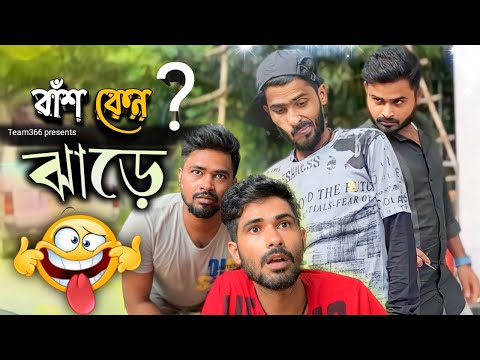 বাঁশ কেনো ঝাড়ে 🤣 | Baansh keno jhaare | Bengali comedy | Team 366