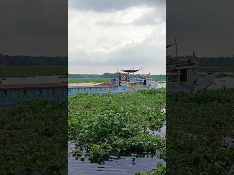 Natural view video || River view…… #natural #travel #bangladesh #bd #riverview