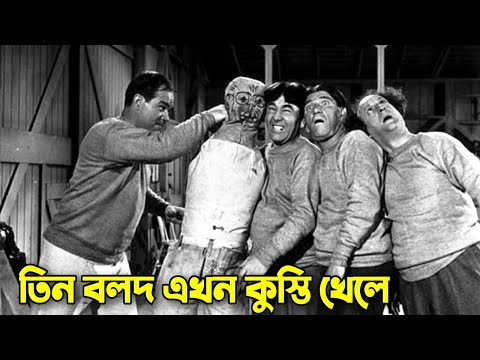 Three Stooges now Wrestle | Bangla Funny Dubbing | Bangla Funny Video | Khamoka tv