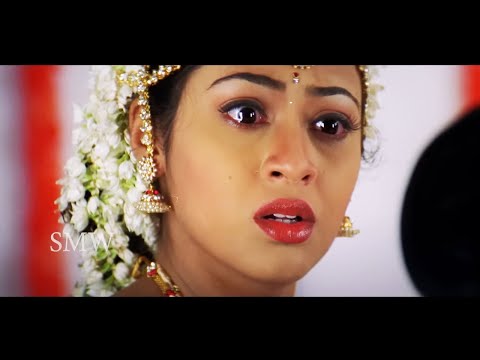 Telugu Superhit Hindi Dubbed Blockbuster Action Movie Full HD 1080p | Madhavan, Sadha | ENEMY