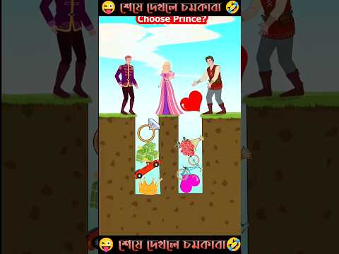 রাজকুমারী কাকে বিয়ে করলো 😍। marriage। real life story । bangla funny video । #shorts #funny #facts