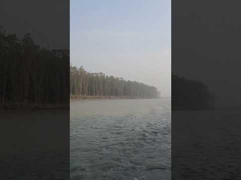 বড় বড় ঢেউ ভেঙে বনের কুল ঘেষে সমুদ্রের পথে। Traveling  bangladesh|#youtubeshorts