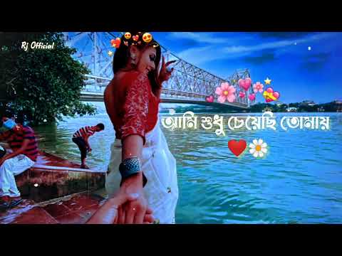 আমি শুধু চেয়েছি তোমায় ❤️|| Bangla Lofi song 🌼 rjofficial 🌼